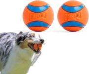 Chuckit! Ultra Ball Dog Toy – Medium Bouncy Fetch Balls For Dogs 20-60 lbs – Made from Durable Rubber – Floating Water Pet Toys – Size Medium – 2.5-inch Diameter – Pack of 2